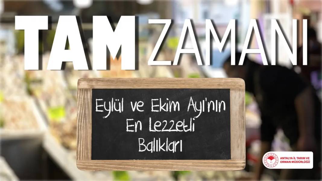 Antalya’da Eylül ve Ekim Sofraları İçin 4 Lezzet! 1